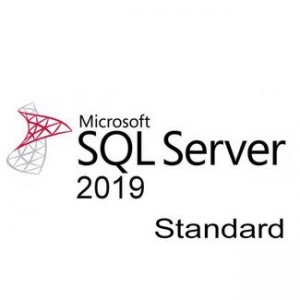 Microsoft SQL Svr Standard Core 2019 OLP 2Lic NL Gov
